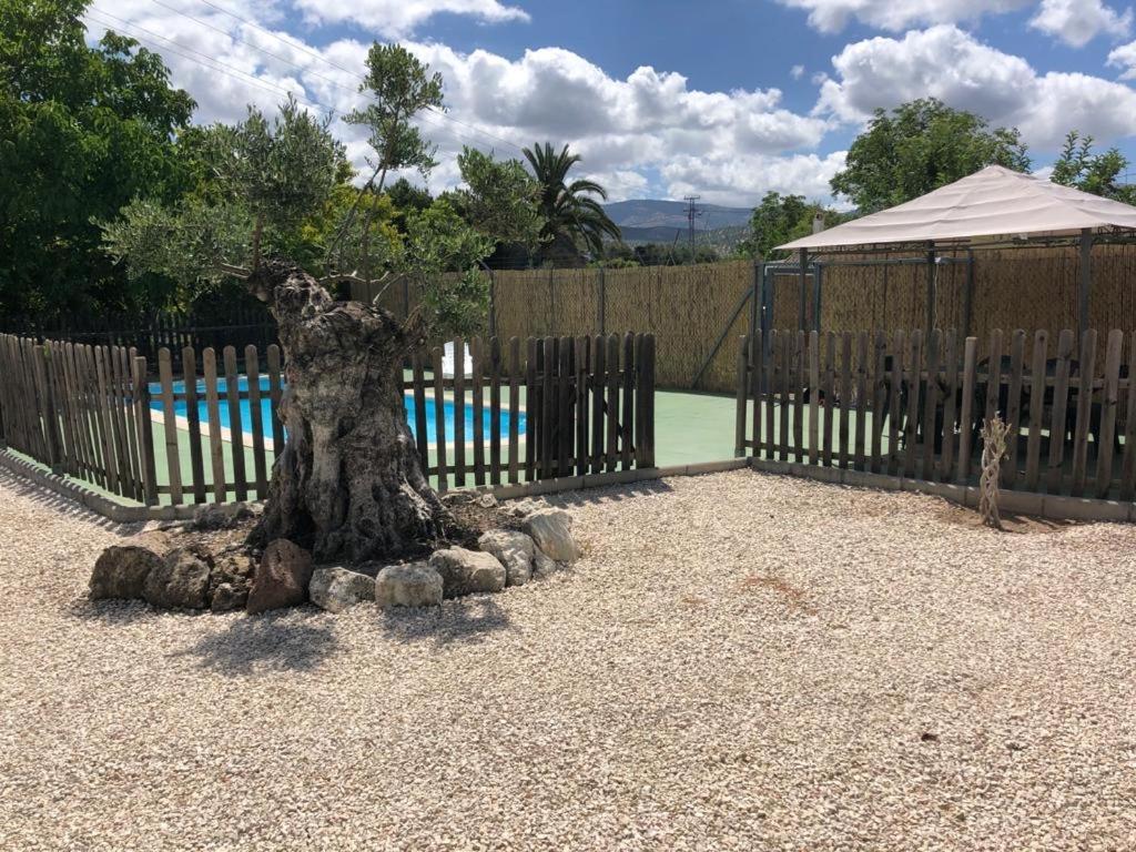 Casa De Campo Patricia Приего-де-Кордова Экстерьер фото