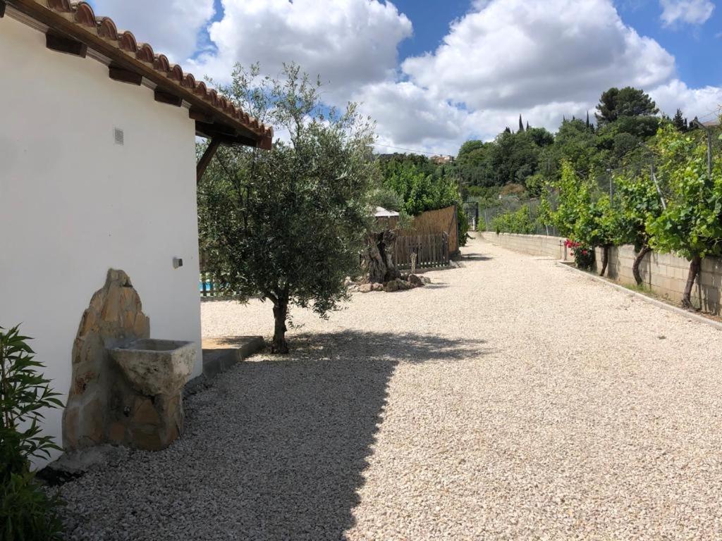 Casa De Campo Patricia Приего-де-Кордова Экстерьер фото